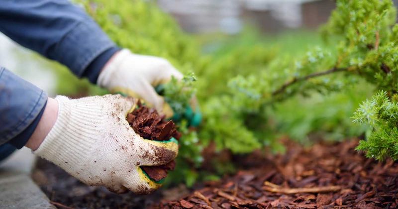 Apply Fresh Mulch To Garden Beds