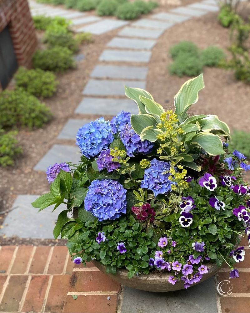 Mixing In Slow-Release Nutrition