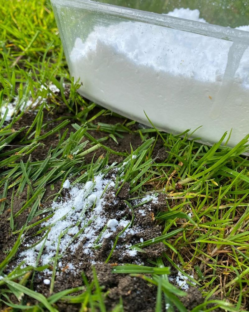 Neutralizes Odors In Compost Bins During Hot Summers