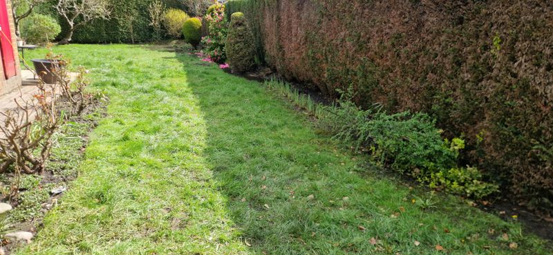 Improve Drainage In Waterlogged Areas