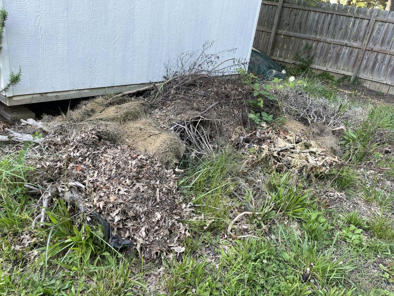 Why Old Yard Debris Slows Spring Growth