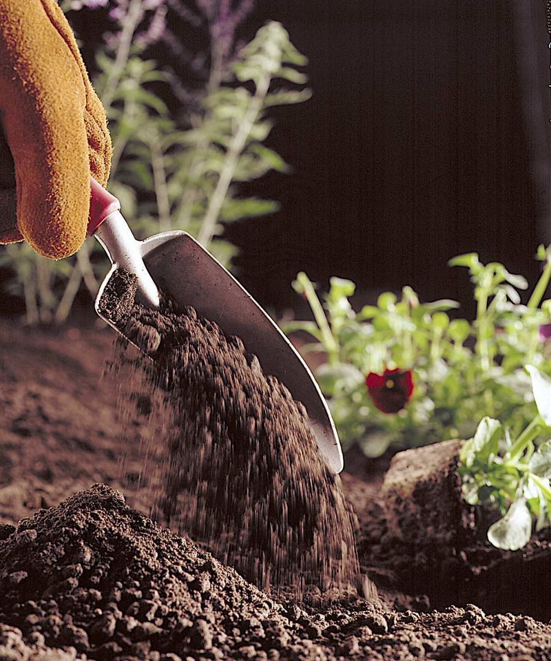 Loosening Compacted Soil Before It Warms