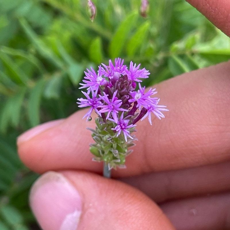 Connection To Kentucky's Natural Heritage