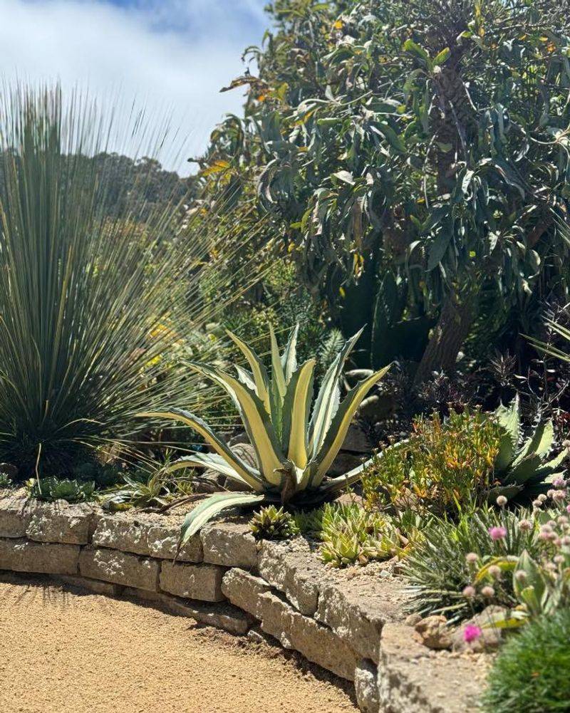 Rock Gardens Showcase Tough Plants
