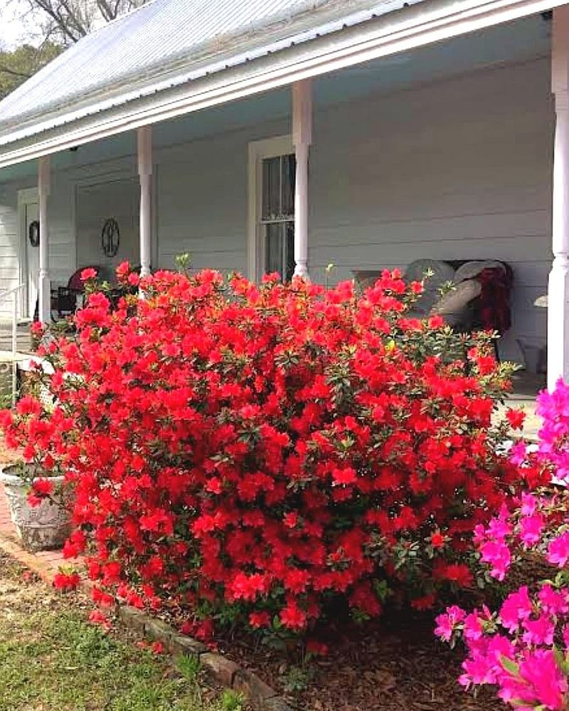 Areas With High Wind Exposure