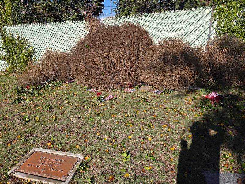 Reducing Open, Wind-Exposed Areas Around The Property