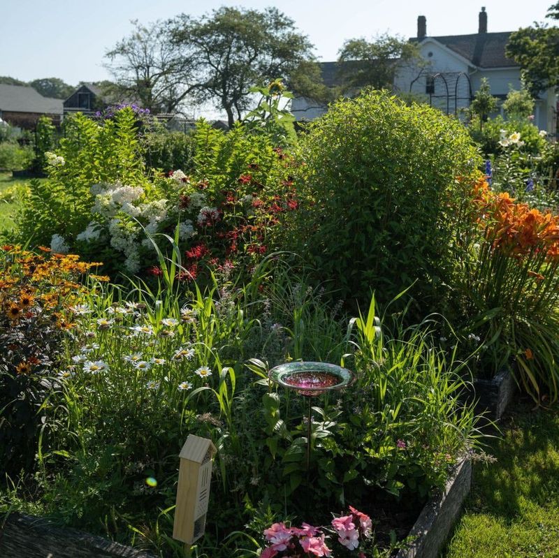 Wildlife Habitat Features For Local Species