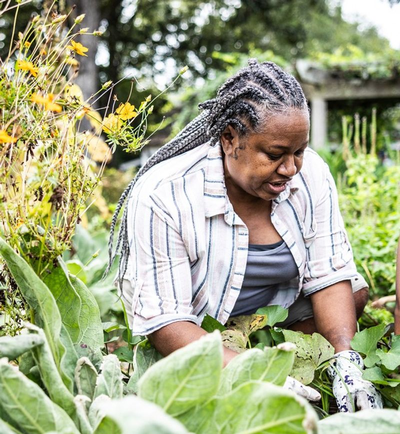 Organic Gardening Never Uses Any Chemicals