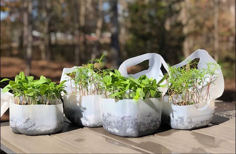 Stronger Seedlings From Natural Temperature Swings