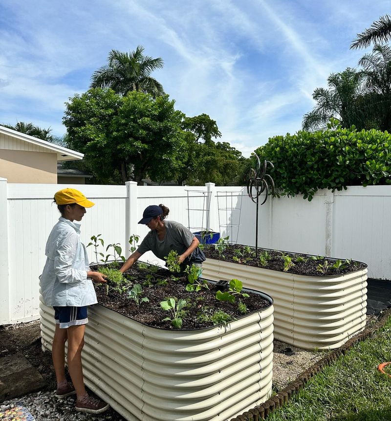 Is A Raised Bed Worth It For Your Florida Garden?