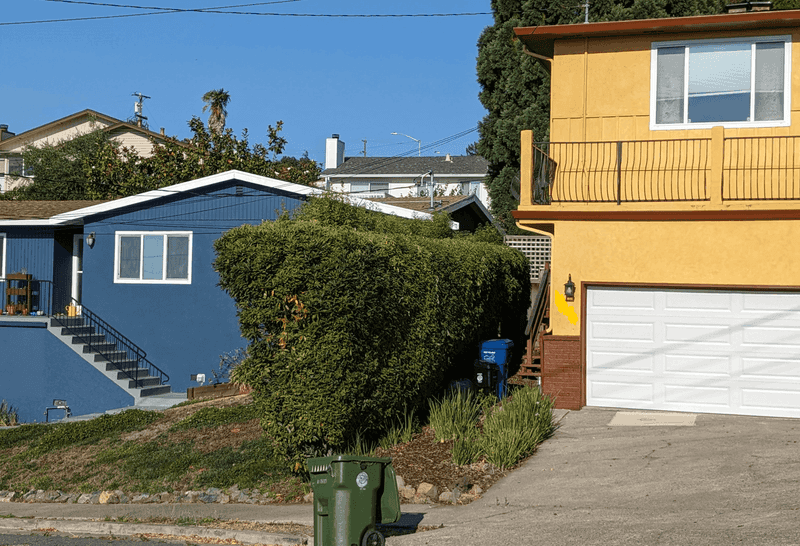 Consulting A Lawyer Helps When Disputes Escalate Beyond Simple Trimming