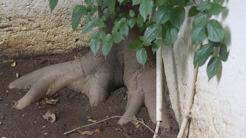 When You Might Need Legal Help