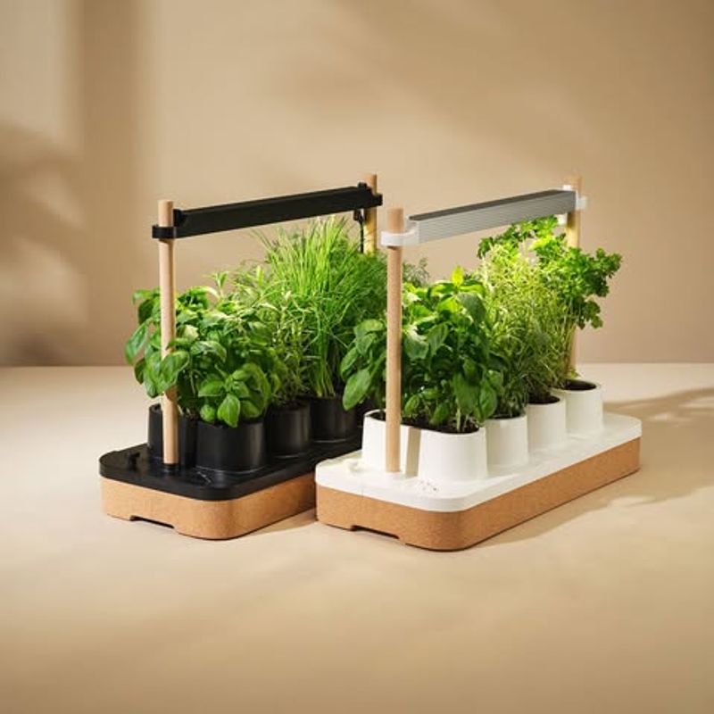 Indoor Countertop Gardens