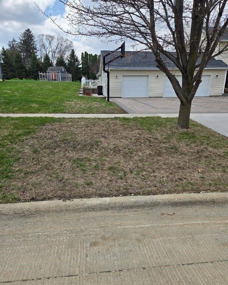 Patchy Or Thinning Lawn Areas