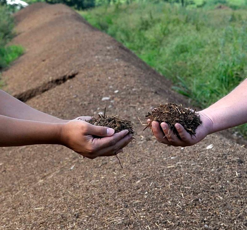 Aged Manure Adds Essential Nutrients