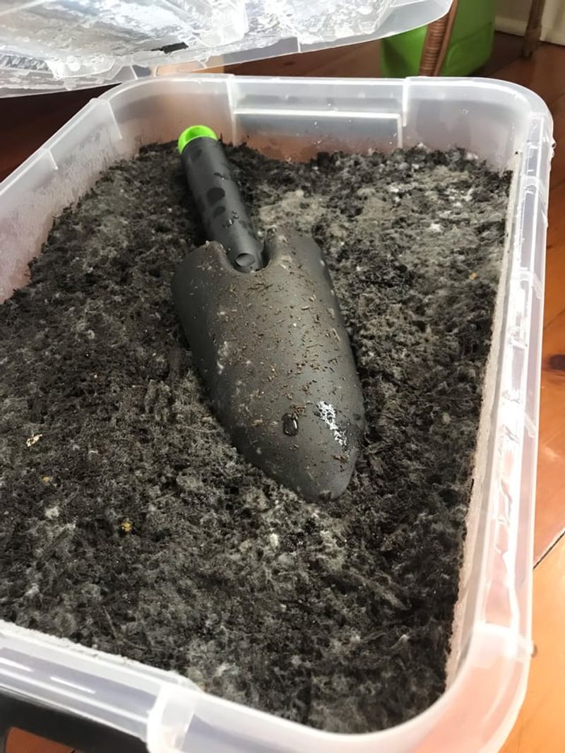 Potting Soil For Containers