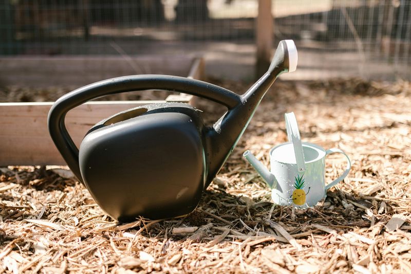 All Mulch Works The Same Way In Gardens