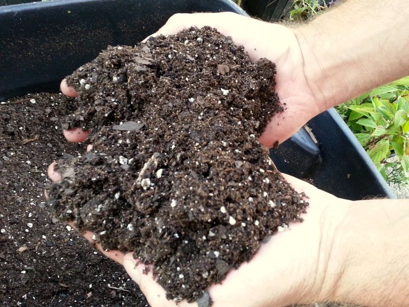 Peat-Based Potting Mix