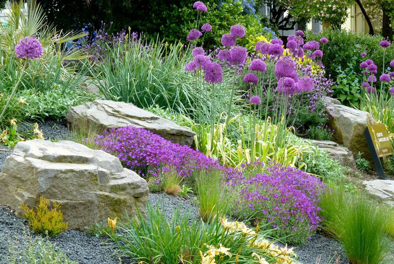 Drought-Tolerant Landscaping
