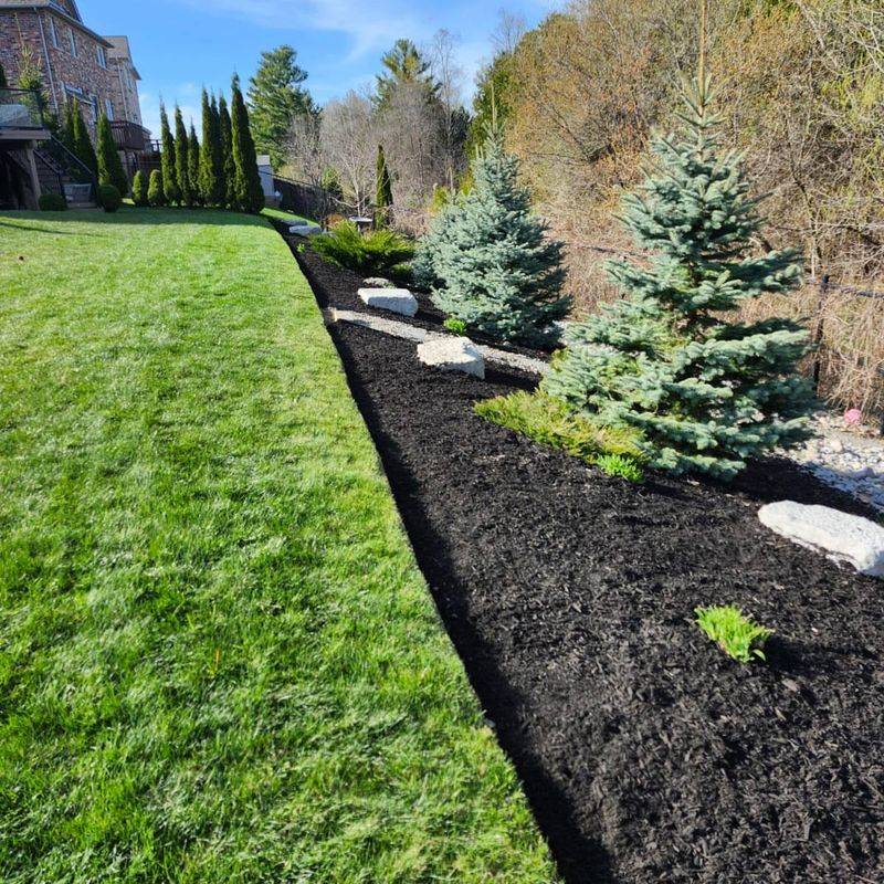 Mulch Borders