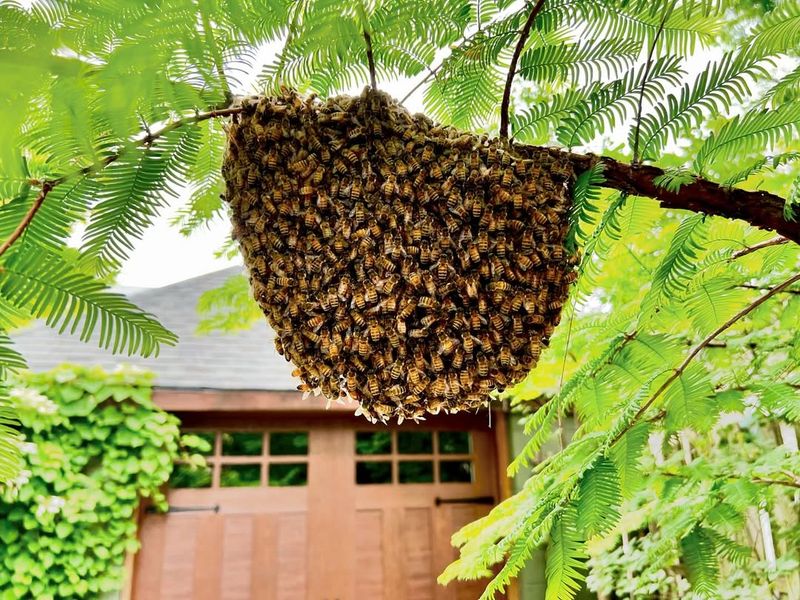 Control Swarms Promptly