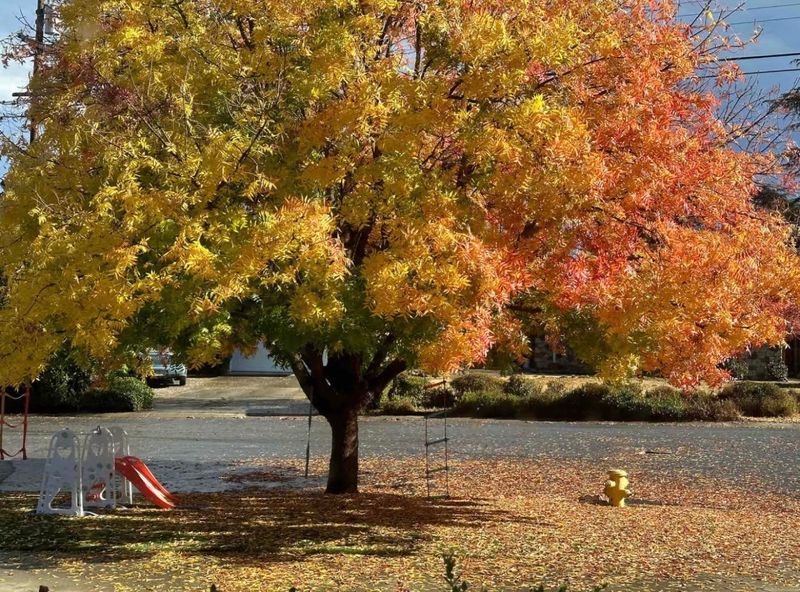 Evaluate Seasonal Color And Visual Interest