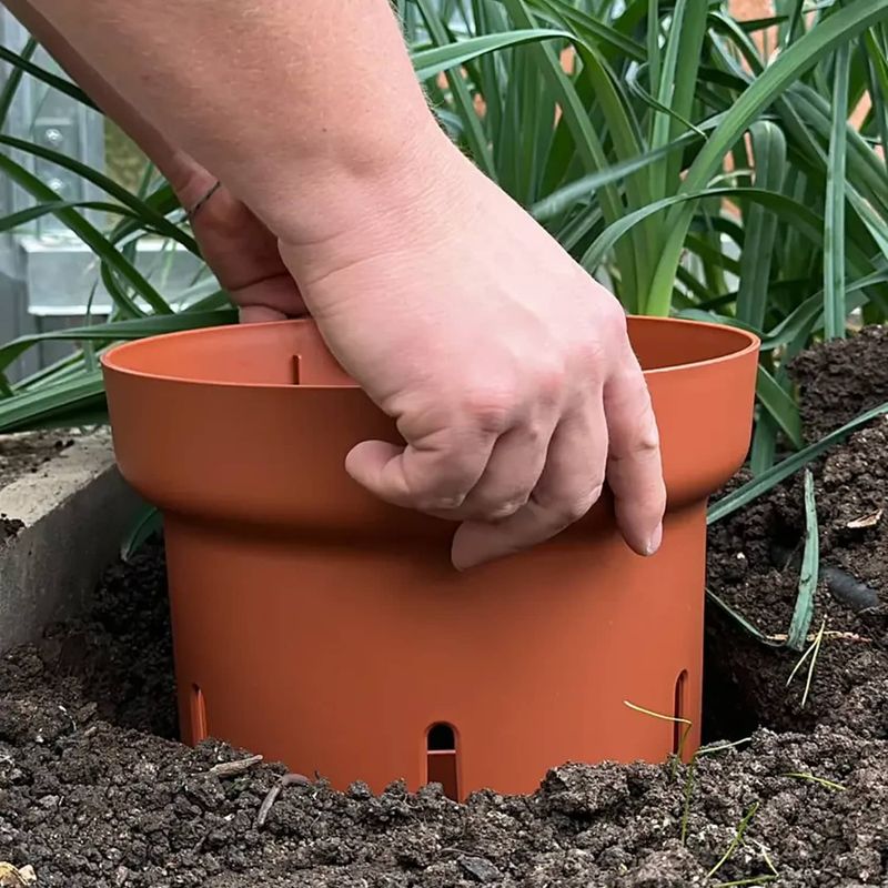 Establish A Composting Station