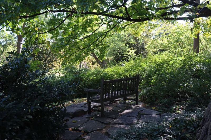 Wooden Benches Offer Resting Spots