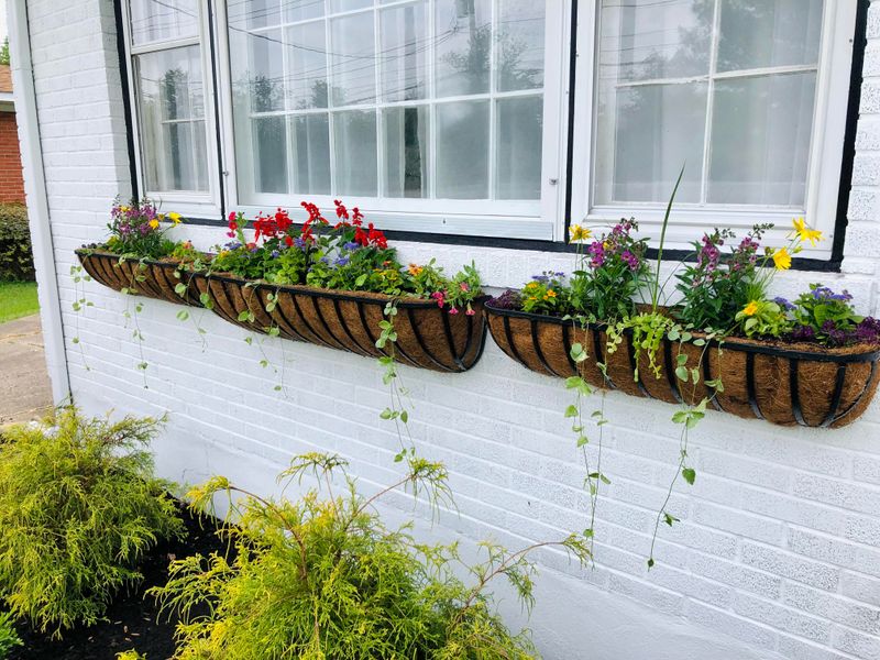 Window Box Herb Gardens