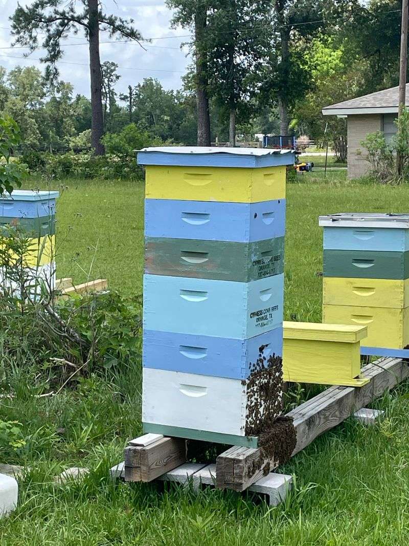 Follow Local Zoning And Permit Requirements