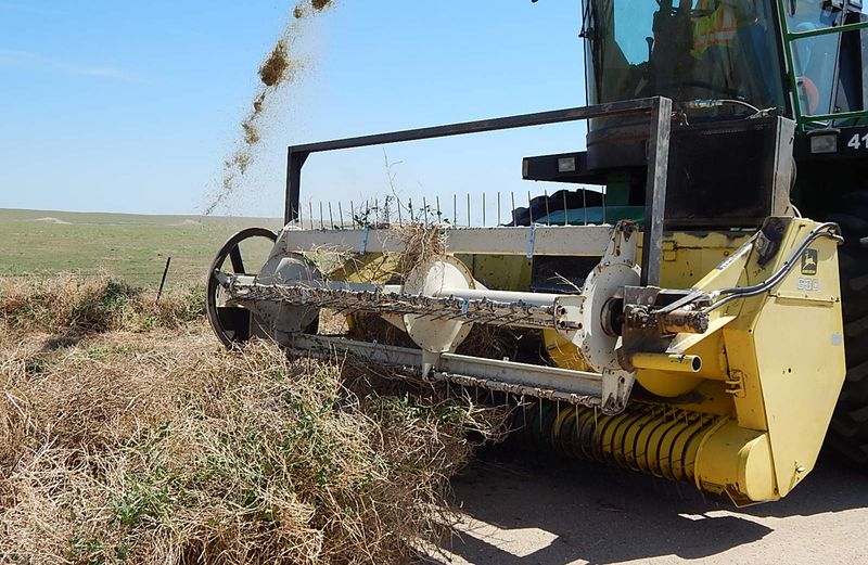 Mechanical Shredding With Chipper Equipment