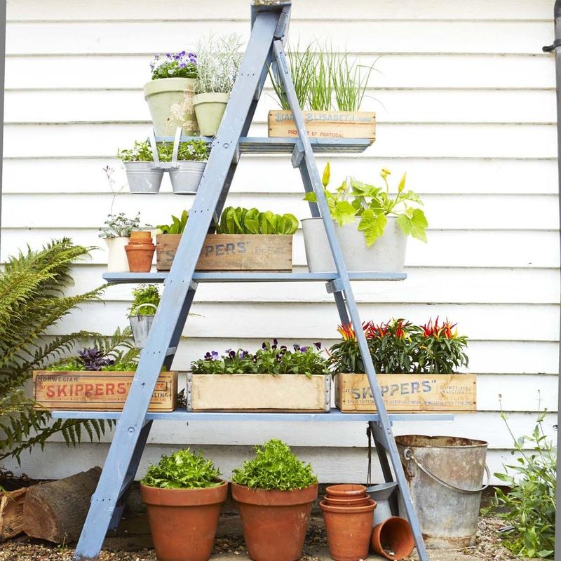 Turn Old Ladders Into Tiered Plant Displays