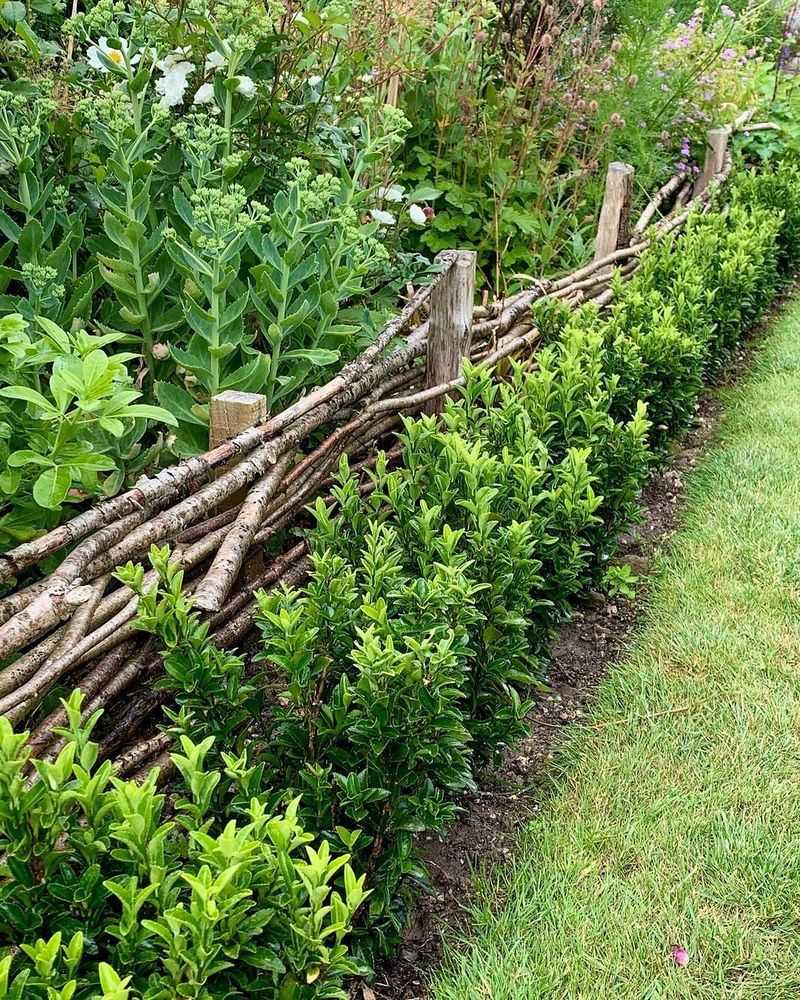 Turn Fallen Branches Into Garden Borders