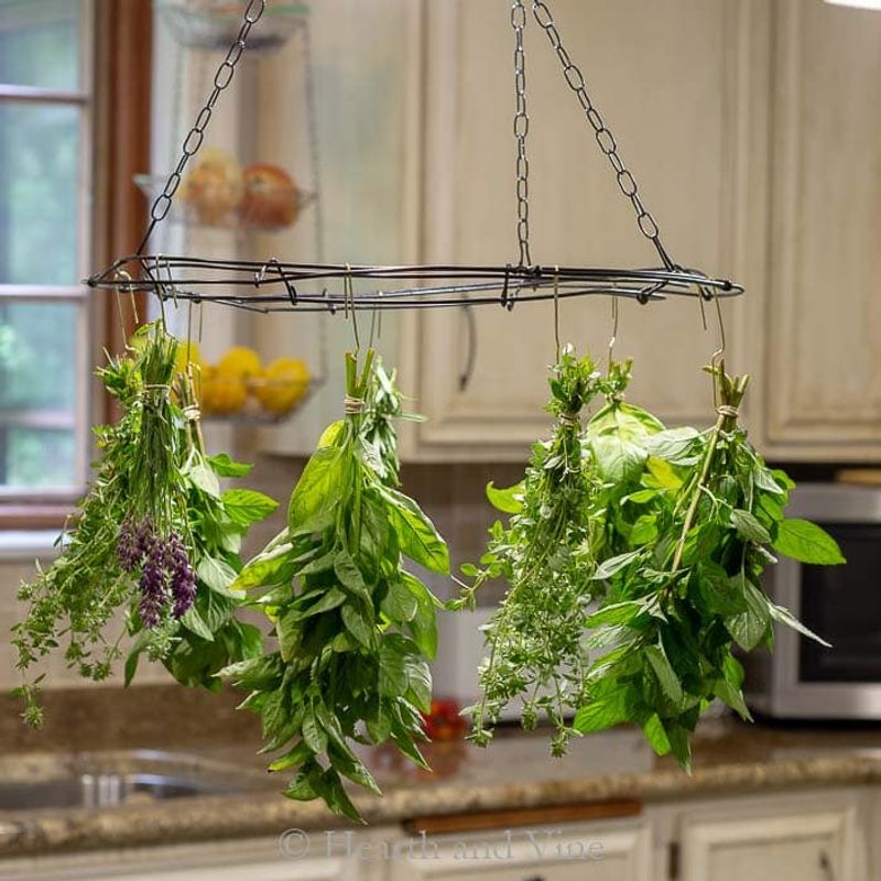 Creating Herb Drying Racks From Wire Planters