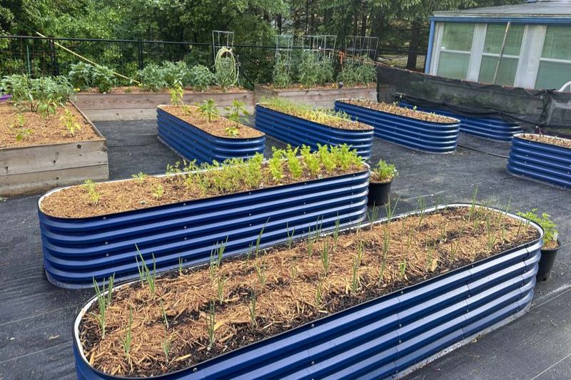 Soil Temperature Regulation In Summer