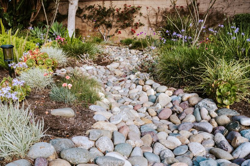 Environmental Benefits Extend Beyond Your Property