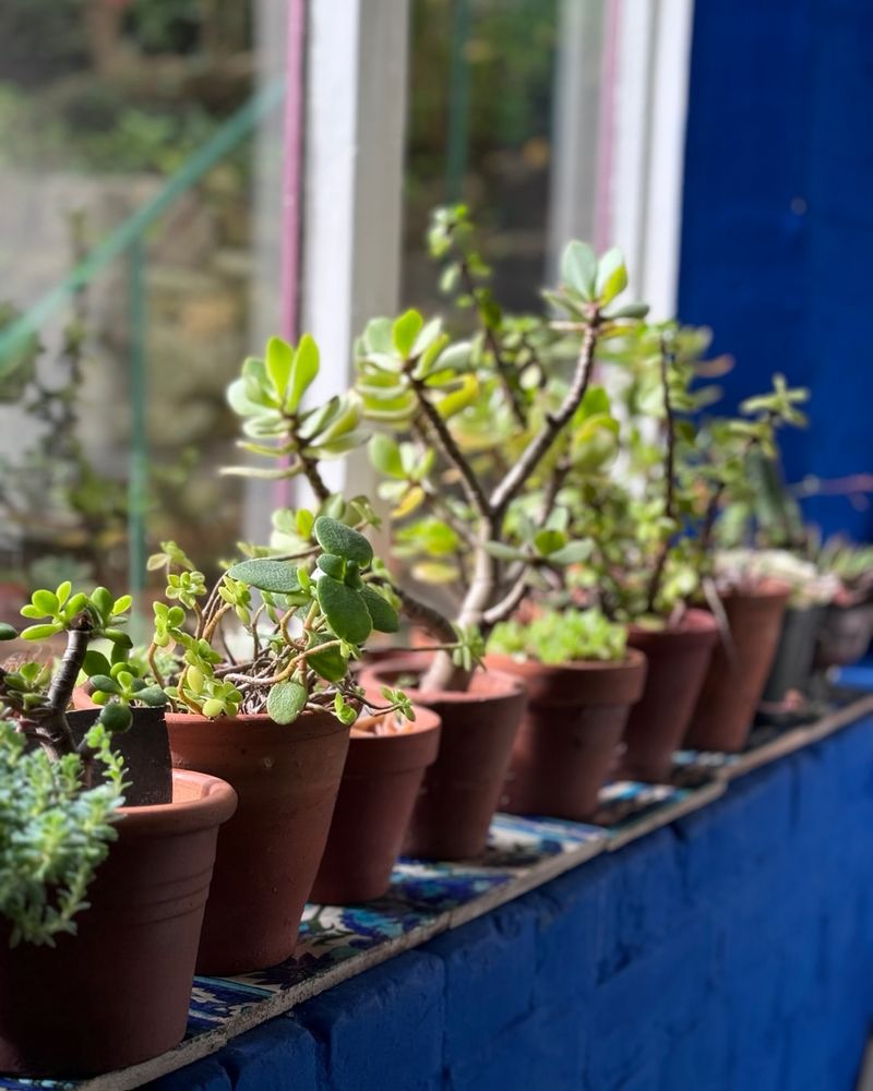 Move Containers Indoors