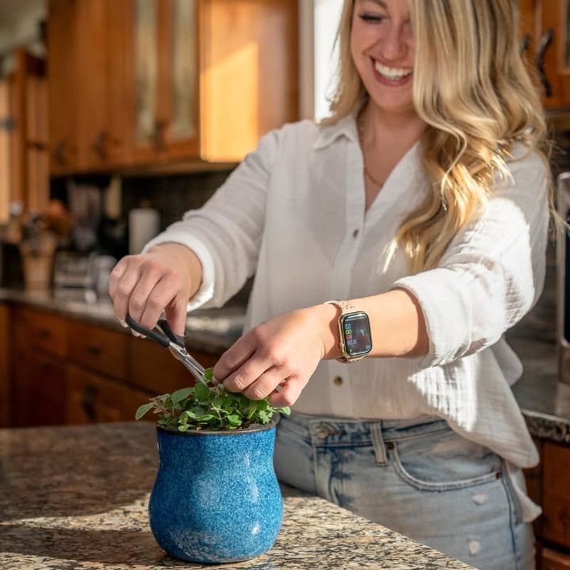 Refresh Your Kitchen With Herb Gardens