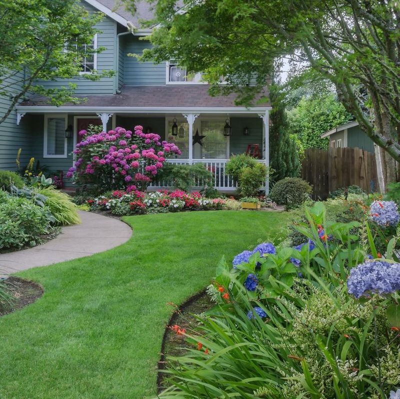 Maintain A Lush Green Lawn
