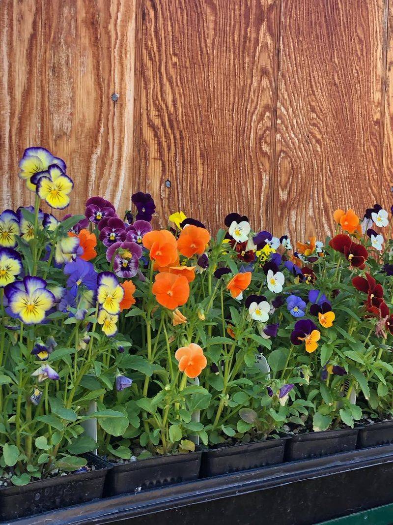 Skip The Pesticides And Herbicides Completely