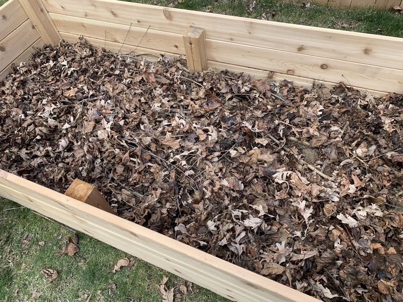 Fill Raised Beds with Leaves For Hugelkultur
