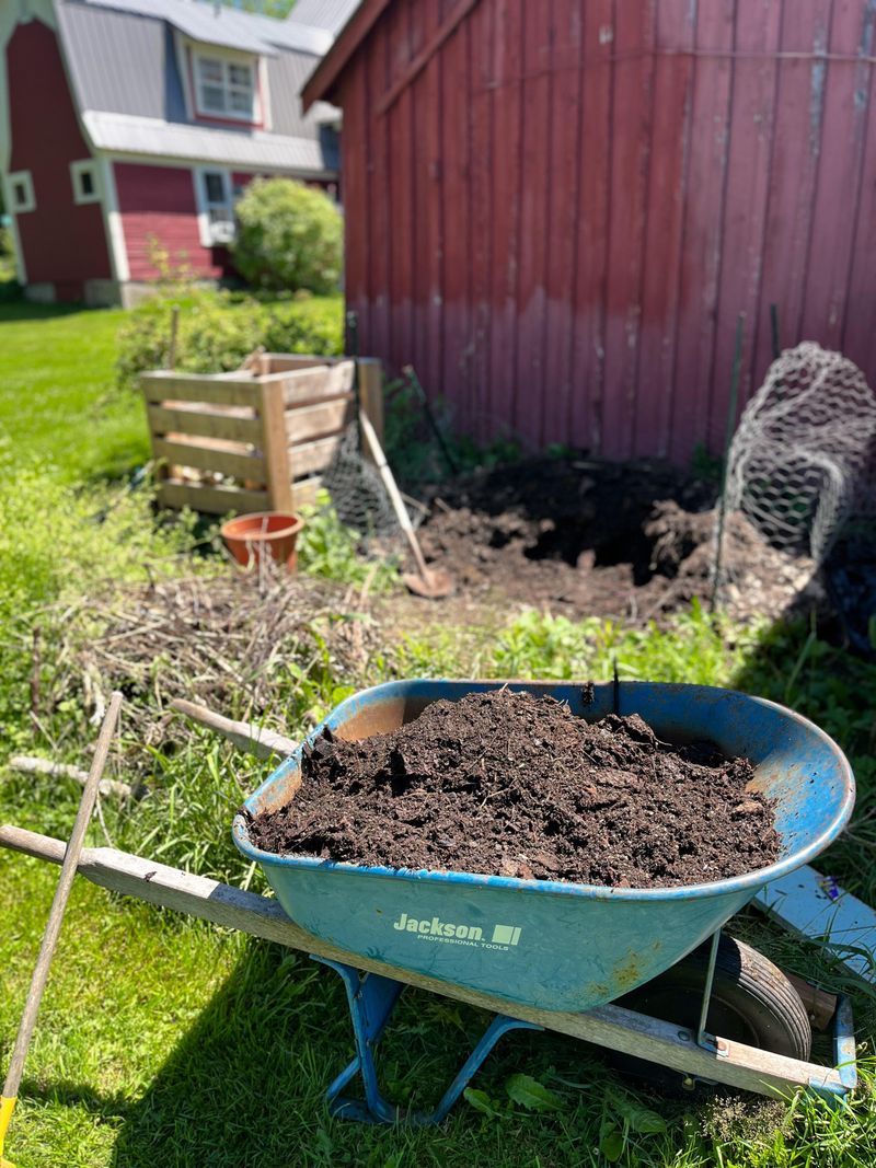 Use Organic Mulch Around Plants