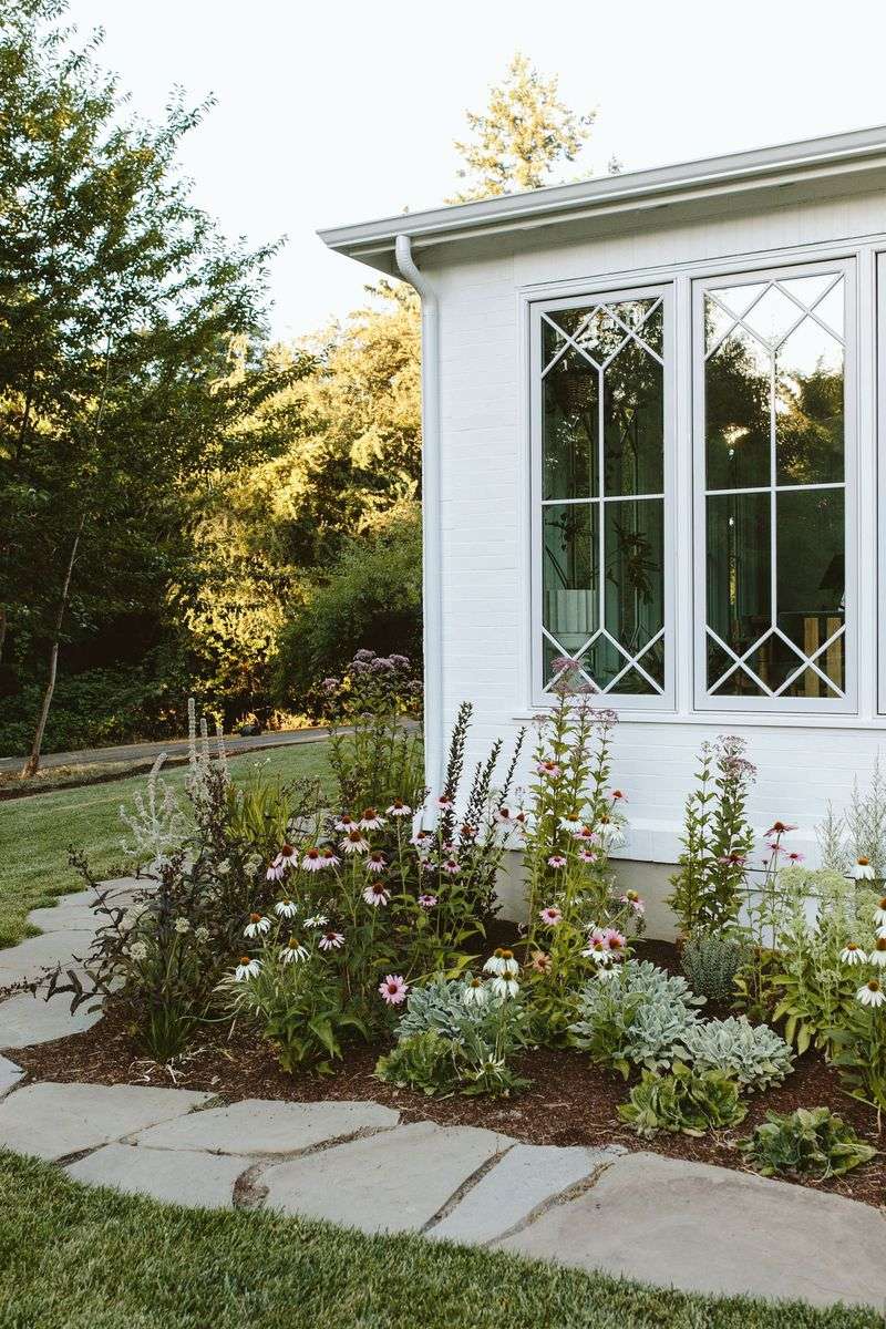 Planting Too Close To Structures And Hardscapes