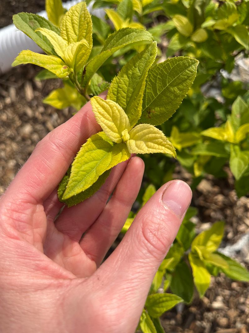 Waiting Too Long To Address Early Stress Signs