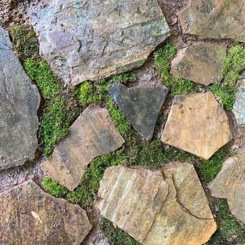 Flagstone With Moss Joints