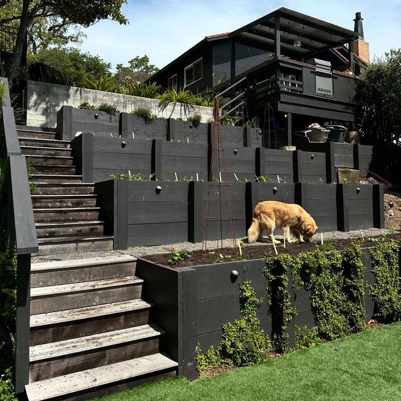 Terraced Hillside Beds With Retaining Walls