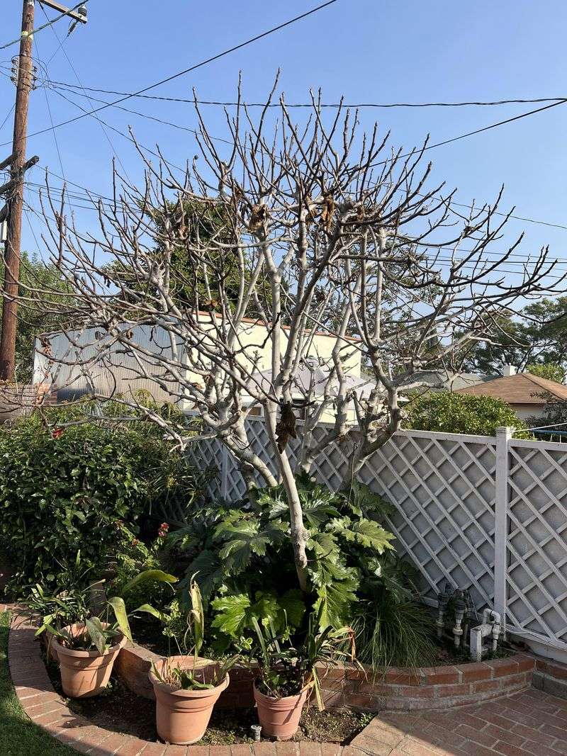 Maintain A Manageable Height