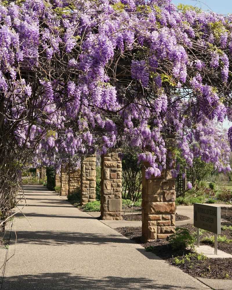 Thin Crowded Areas To Prevent Tangling