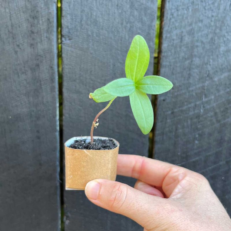 Label Each Roll To Stay Organized