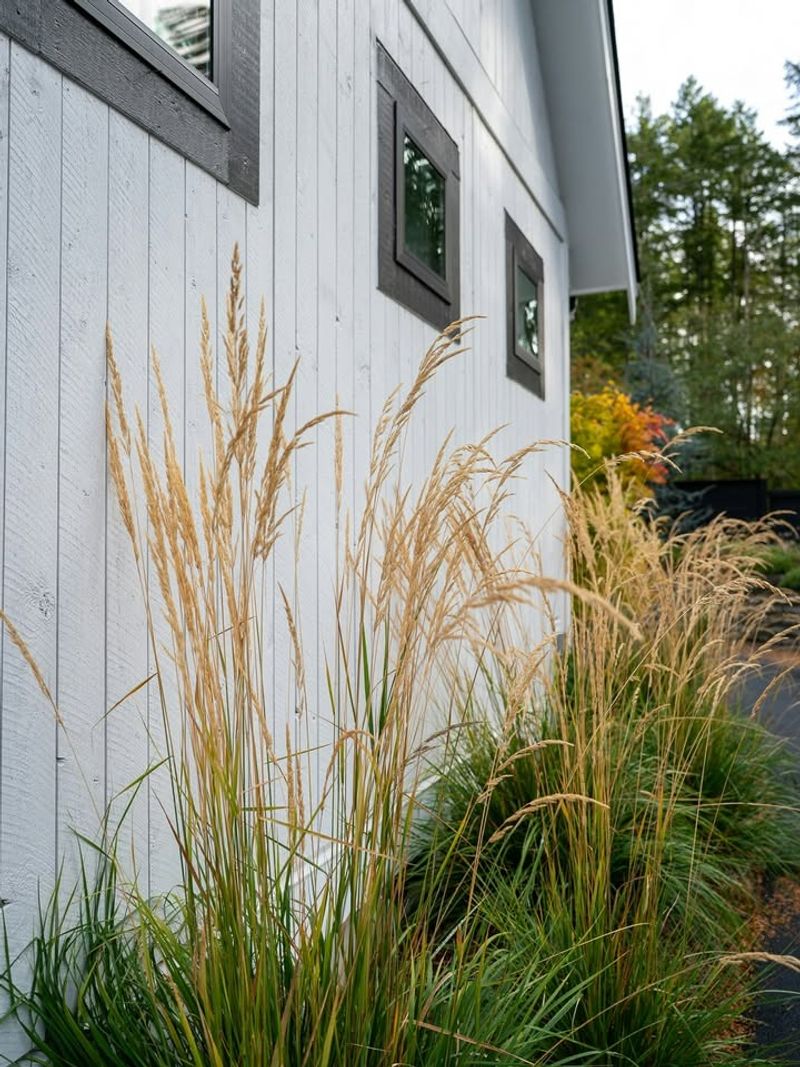 Why January Is The Sweet Spot For This Task In South Carolina Yards